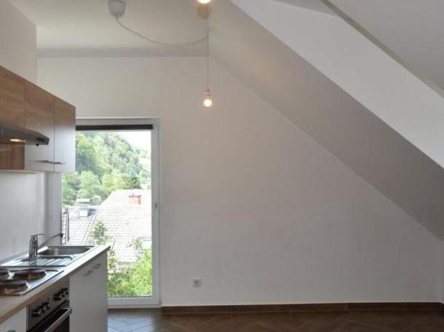 Zu Vermieten 2 Schlafzimmer Wohnung Salzburg Salzburg DS105052322