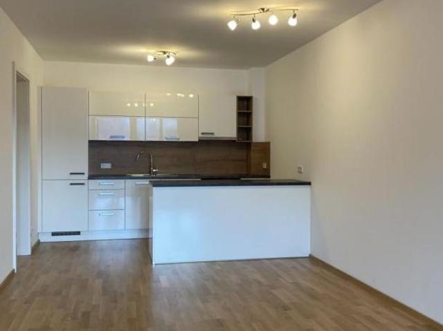 Zu Vermieten 2 Schlafzimmer Wohnung Salzburg Salzburg DS105605525