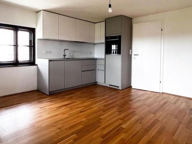 Zu Vermieten 2 Schlafzimmer Wohnung Salzburg Salzburg DS105706397