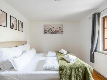 Zu Vermieten 2 Schlafzimmer Wohnung Steyr Steyr DS101728260