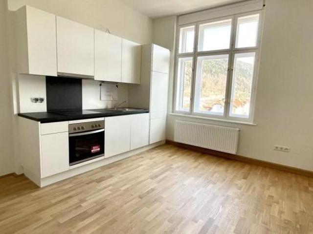 Zu Vermieten 2 Schlafzimmer Wohnung Steiermark Steiermark DS103489558