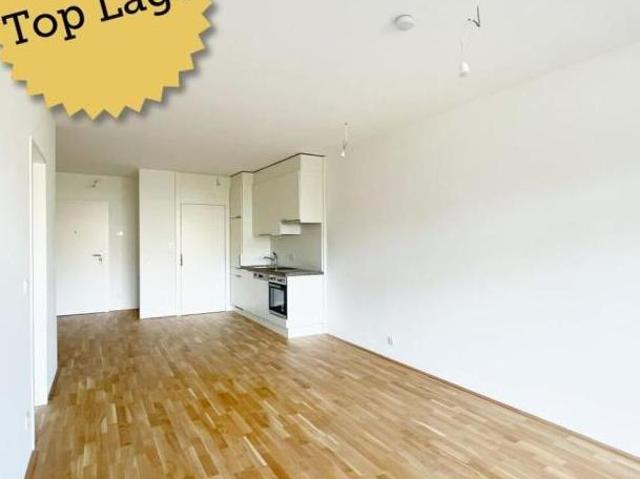 Zu Vermieten 2 Schlafzimmer Wohnung Steiermark Steiermark DS103696780