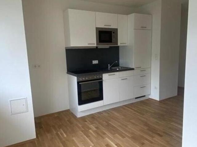 Zu Vermieten 2 Schlafzimmer Wohnung Steiermark Steiermark DS103741517