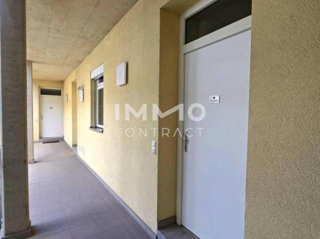 Zu Vermieten 2 Schlafzimmer Wohnung Steiermark Steiermark DS103741809