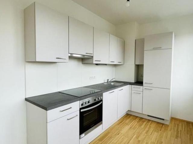 Zu Vermieten 2 Schlafzimmer Wohnung Steiermark Steiermark DS103843846