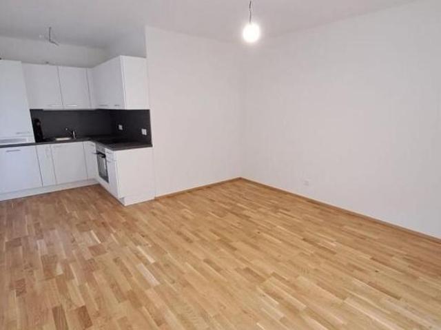 Zu Vermieten 2 Schlafzimmer Wohnung Steiermark Steiermark DS104437131