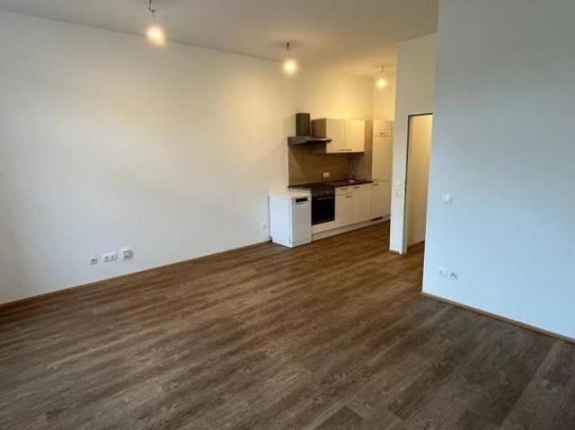 Zu Vermieten 2 Schlafzimmer Wohnung Steiermark Steiermark DS104896694