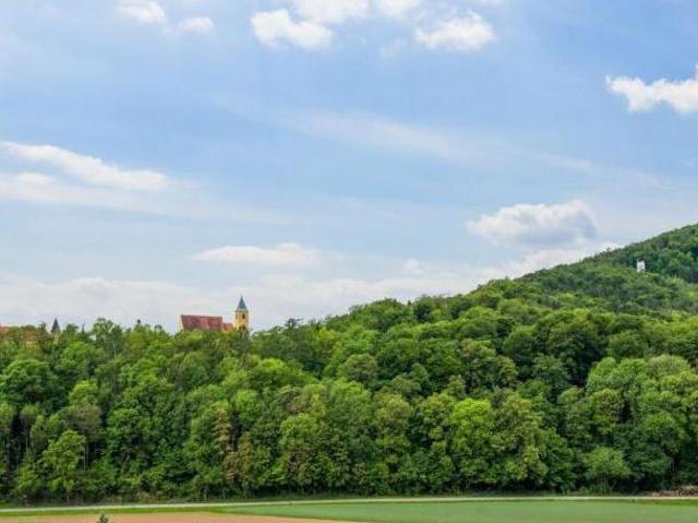 Zu Vermieten 2 Schlafzimmer Wohnung Steiermark Steiermark DS104943543