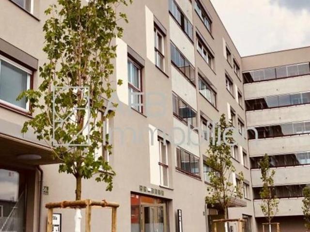 Zu Vermieten 2 Schlafzimmer Wohnung Steiermark Steiermark DS104227942