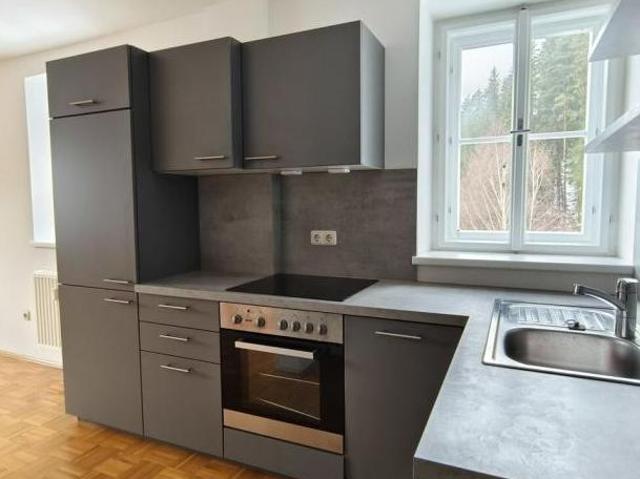 Zu Vermieten 2 Schlafzimmer Wohnung Steiermark Steiermark DS105421465