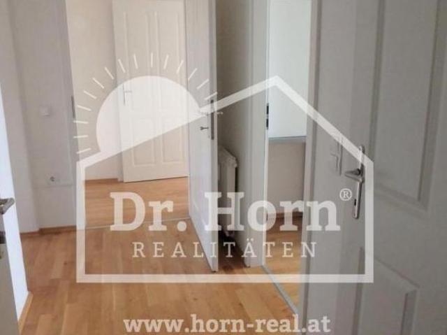 Zu Vermieten 2 Schlafzimmer Wohnung Steiermark Steiermark DS105421562