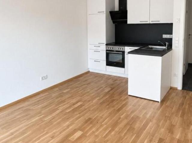 Zu Vermieten 2 Schlafzimmer Wohnung Steiermark Steiermark DS105470173