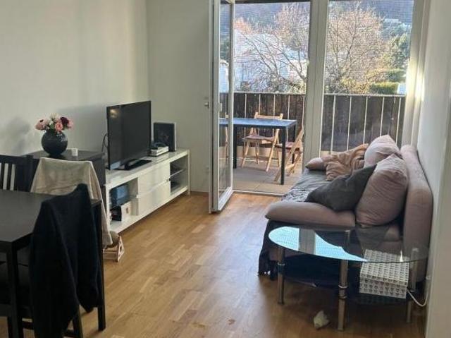 Zu Vermieten 2 Schlafzimmer Wohnung Steiermark Steiermark DS105645583