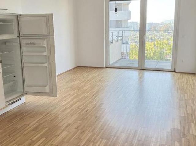 Zu Vermieten 2 Schlafzimmer Wohnung Steiermark Steiermark DS105862529