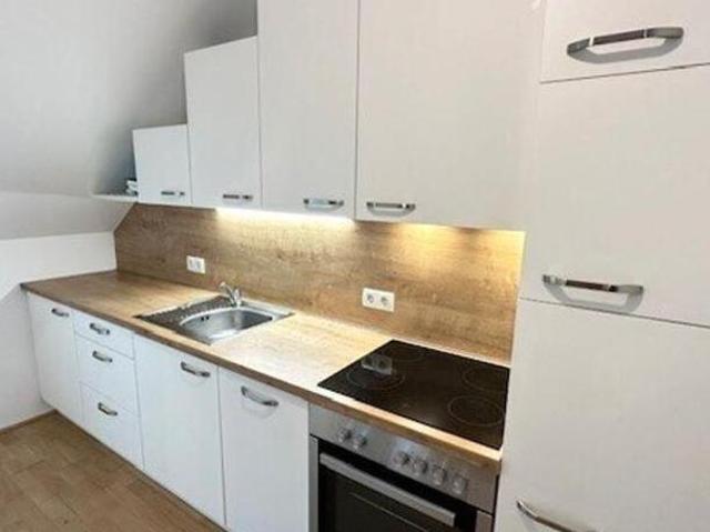 Zu Vermieten 2 Schlafzimmer Wohnung Steiermark Steiermark DS105035894