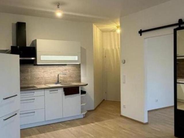 Zu Vermieten 2 Schlafzimmer Wohnung Steiermark Steiermark DS105037763