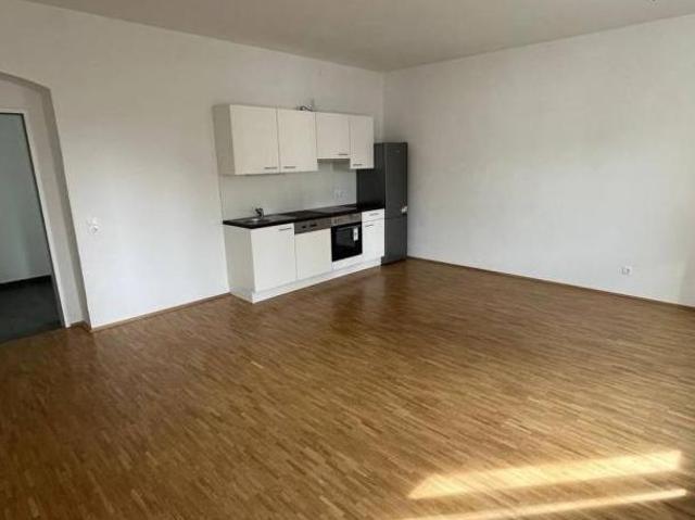 Zu Vermieten 2 Schlafzimmer Wohnung Steiermark Steiermark DS105051967