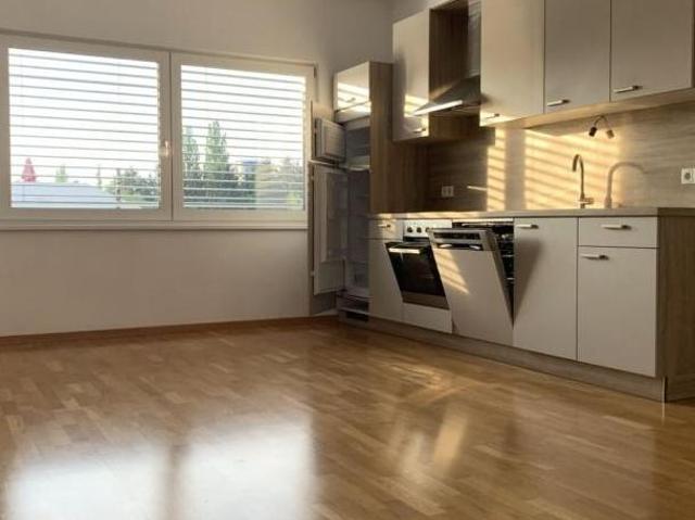 Zu Vermieten 2 Schlafzimmer Wohnung Steiermark Steiermark DS105054209