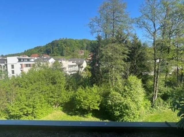 Zu Vermieten 2 Schlafzimmer Wohnung Steiermark Steiermark DS105101820