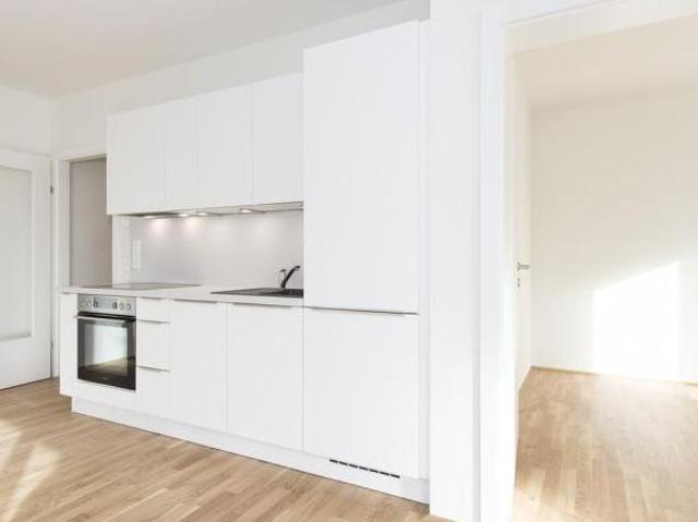 Zu Vermieten 2 Schlafzimmer Wohnung Steiermark Steiermark DS105311811