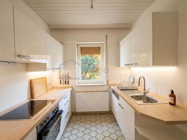 Zu Vermieten 4 Schlafzimmer Haus Wien Wien DS105076992
