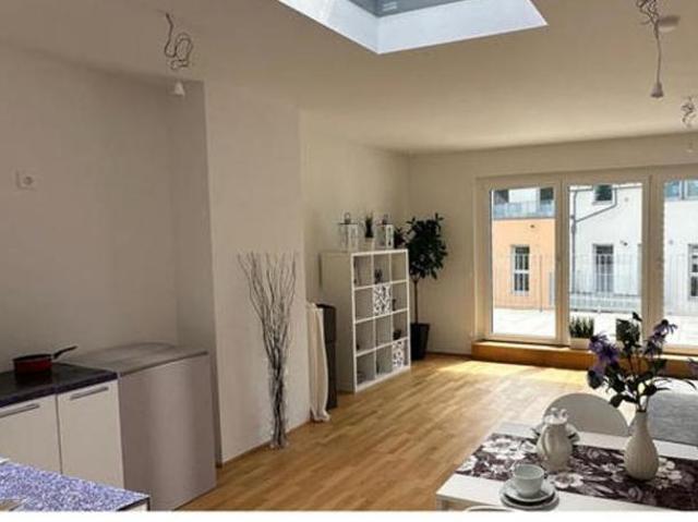 Zu Vermieten 4 Schlafzimmer Haus Wien Wien DS105076273