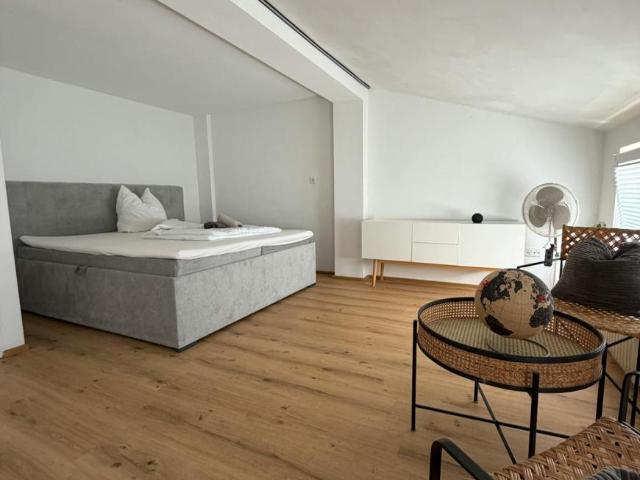 Zu Vermieten 4 Schlafzimmer Haus Hagenau Hagenau DS105685402