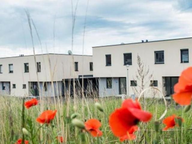 Zu Vermieten 4 Schlafzimmer Haus Niederösterreich Niederösterreich DS105027559