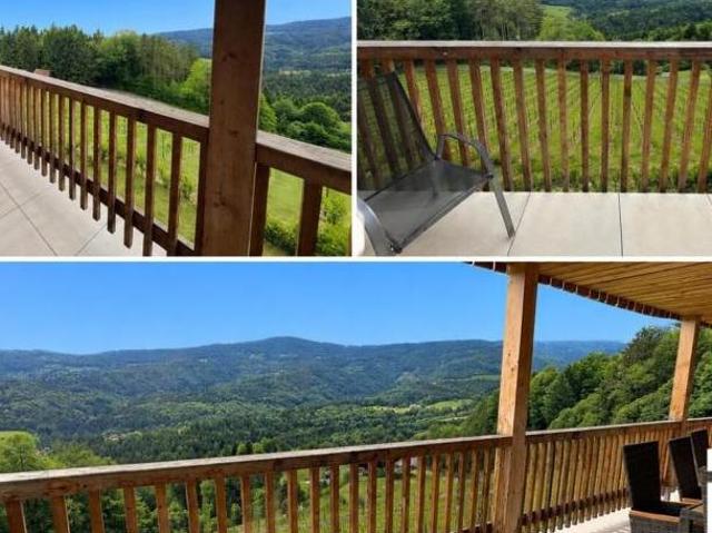 Zu Vermieten 4 Schlafzimmer Haus Steiermark Steiermark DS104712916