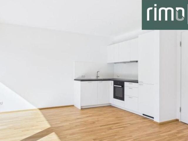 Zu Vermieten 4 Schlafzimmer Wohnung Vorarlberg Vorarlberg DS105033919