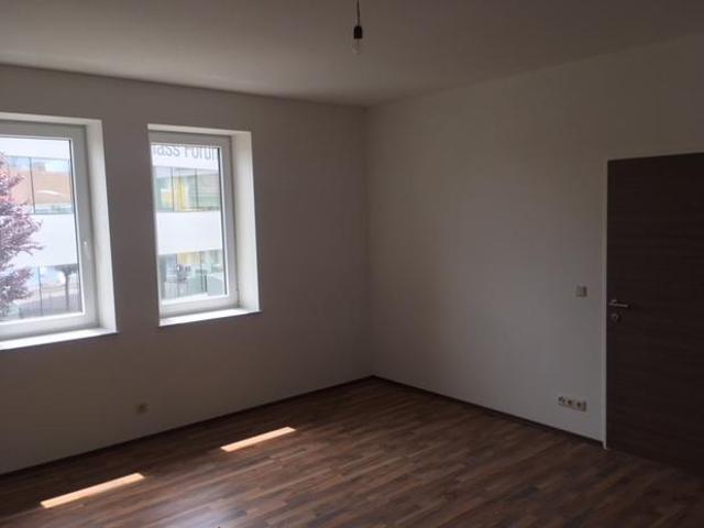 Zu Vermieten 4 Schlafzimmer Wohnung Hausmening AUT DS104185645