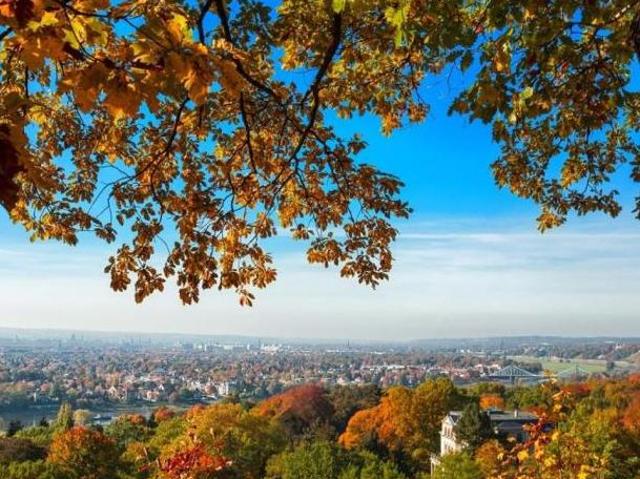 Zu Vermieten 4 Schlafzimmer Wohnung Kärnten Kärnten DS105380318