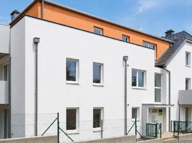 Zu Vermieten 4 Schlafzimmer Wohnung Niederösterreich Niederösterreich DS103924240