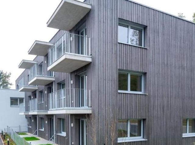 Zu Vermieten 4 Schlafzimmer Wohnung Niederösterreich Niederösterreich DS105570936