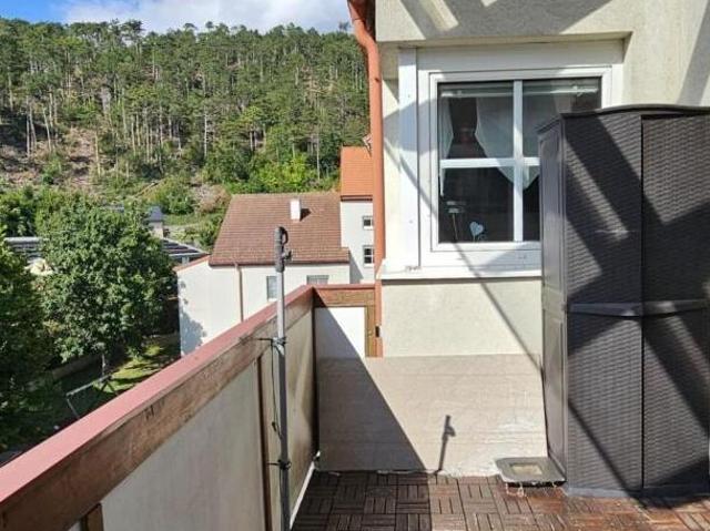 Zu Vermieten 4 Schlafzimmer Wohnung Niederösterreich Niederösterreich DS105626033