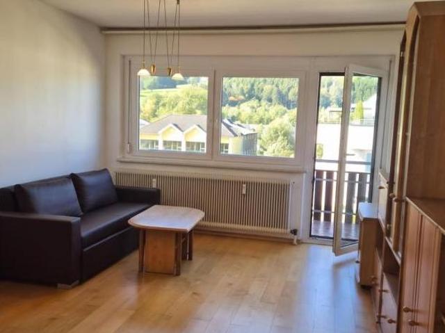 Zu Vermieten 4 Schlafzimmer Wohnung Niederösterreich Niederösterreich DS105794472
