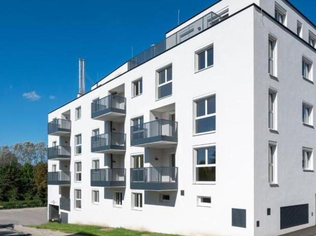 Zu Vermieten 4 Schlafzimmer Wohnung Niederösterreich Niederösterreich DS105033267