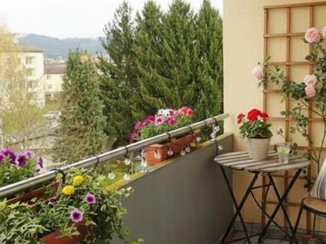 Zu Vermieten 4 Schlafzimmer Wohnung Oberösterreich Oberösterreich DS103596979