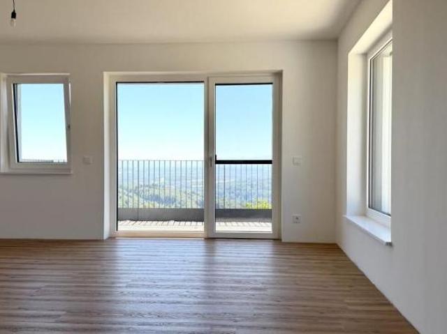 Zu Vermieten 4 Schlafzimmer Wohnung Oberösterreich Oberösterreich DS105054582