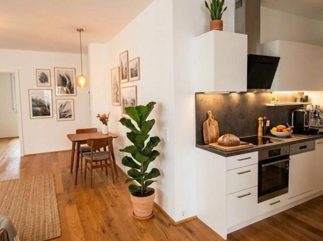 Zu Vermieten 4 Schlafzimmer Wohnung Oberösterreich Oberösterreich DS105152530