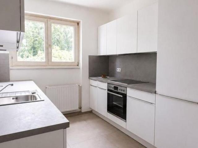 Zu Vermieten 4 Schlafzimmer Wohnung Salzburg Salzburg DS105380174