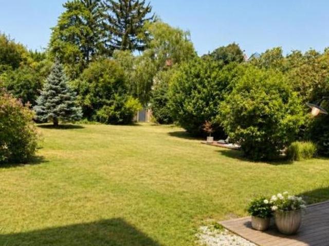 Zu Vermieten 5 Schlafzimmer Wohnung Niederösterreich Niederösterreich DS104684094