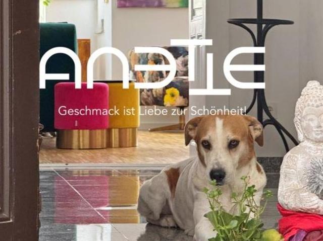 Zu Vermieten 5 Schlafzimmer Wohnung Niederösterreich Niederösterreich DS105055130