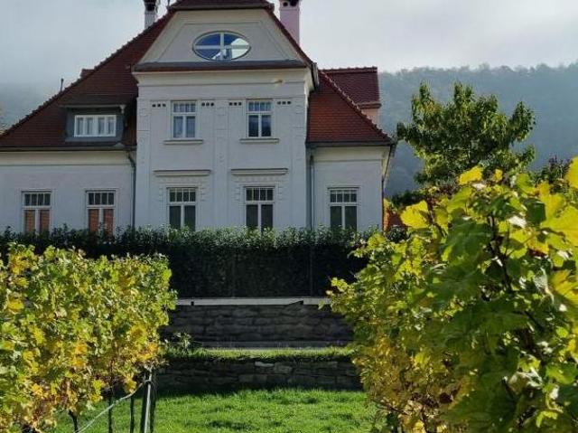 Zu Vermieten 5 Schlafzimmer Wohnung Niederösterreich Niederösterreich DS105346921