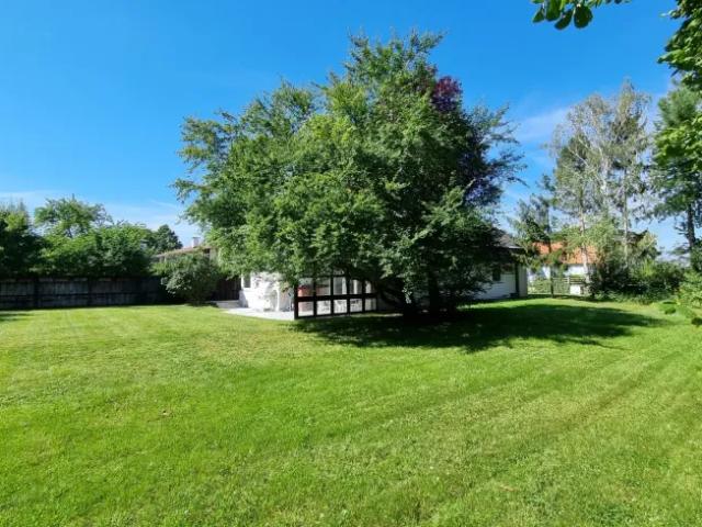 Zu Vermieten Haus Bisamberg Bisamberg DS104140449