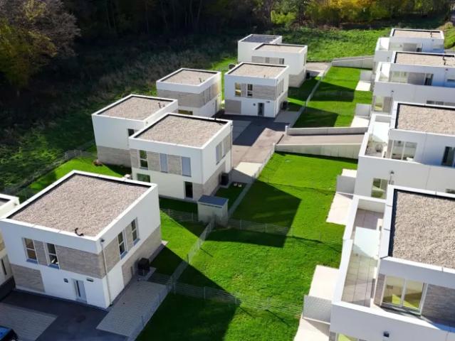 Zu Vermieten Haus Klosterneuburg Klosterneuburg DS103962885