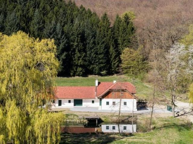 Zu Vermieten Haus Niederösterreich Niederösterreich DS105028457