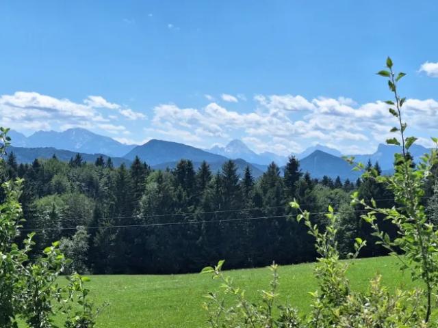Zu Vermieten Wohnung Thalgau Thalgau DS105922321