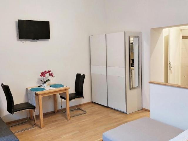 Zu Vermieten Wohnung Vienna Vienna DS105327898