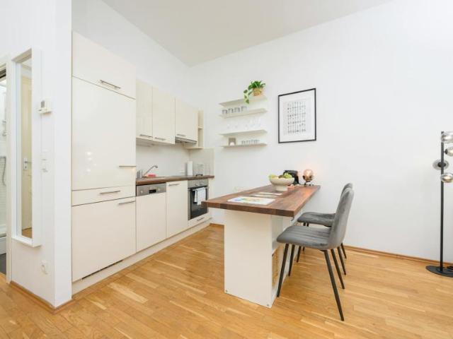 Zu Vermieten Wohnung Vienna Vienna DS103654761
